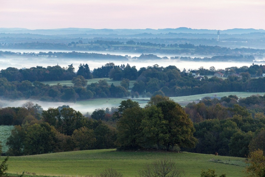 Another one from that morning with my dad waiting for the migrating birds.