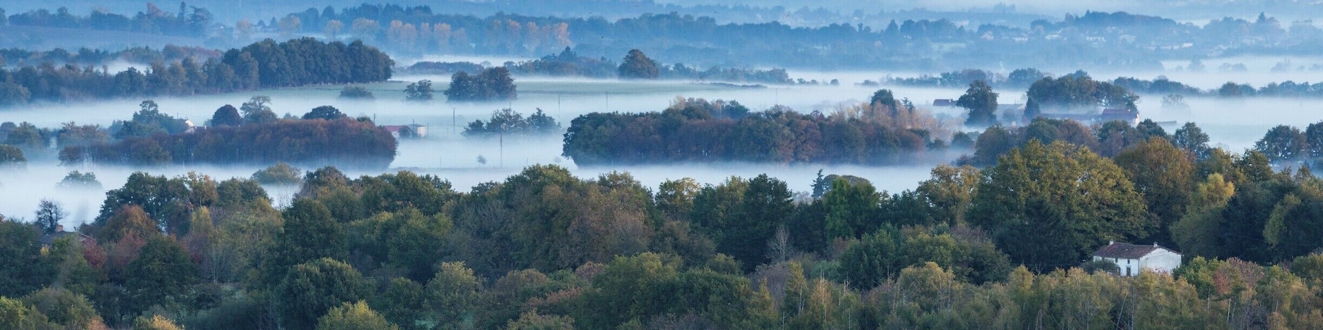 My dad's friend owns a really cool karting circuit in Pageas, a few kilometres from Chalus where I grew up in France.
They are both hunters.  I know this is not everyone's cup of tea, but a lot of people from that generation in rural France do like hunting, fishing, fetching mushrooms.
There are woodlands all around the karting circuit.  My dad and his friend have built some platforms in the trees, and from mid-October to mid-November they go there every morning to shoot migrating birds.  Those ones are some sort of wood pigeons going from Eastern Europe / Russia to North Africa.
I did my own shooting that morning... with my camera!  The sunrise was spectacular with some nice pink colours and mist in the valley.