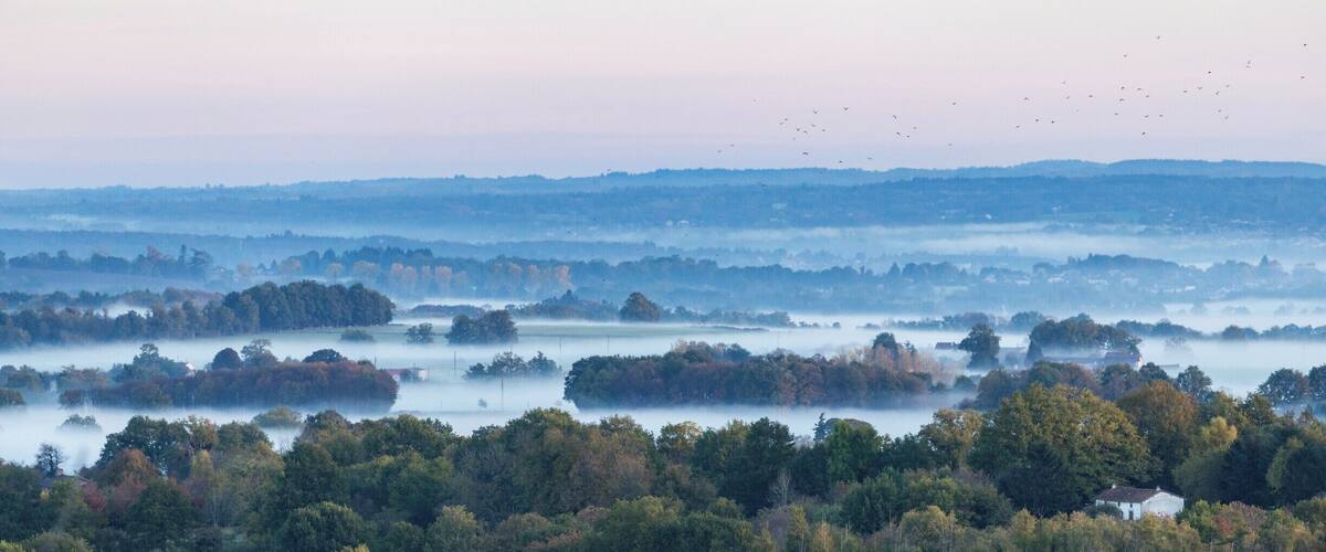 A misty landscape with dense forests and scattered houses.