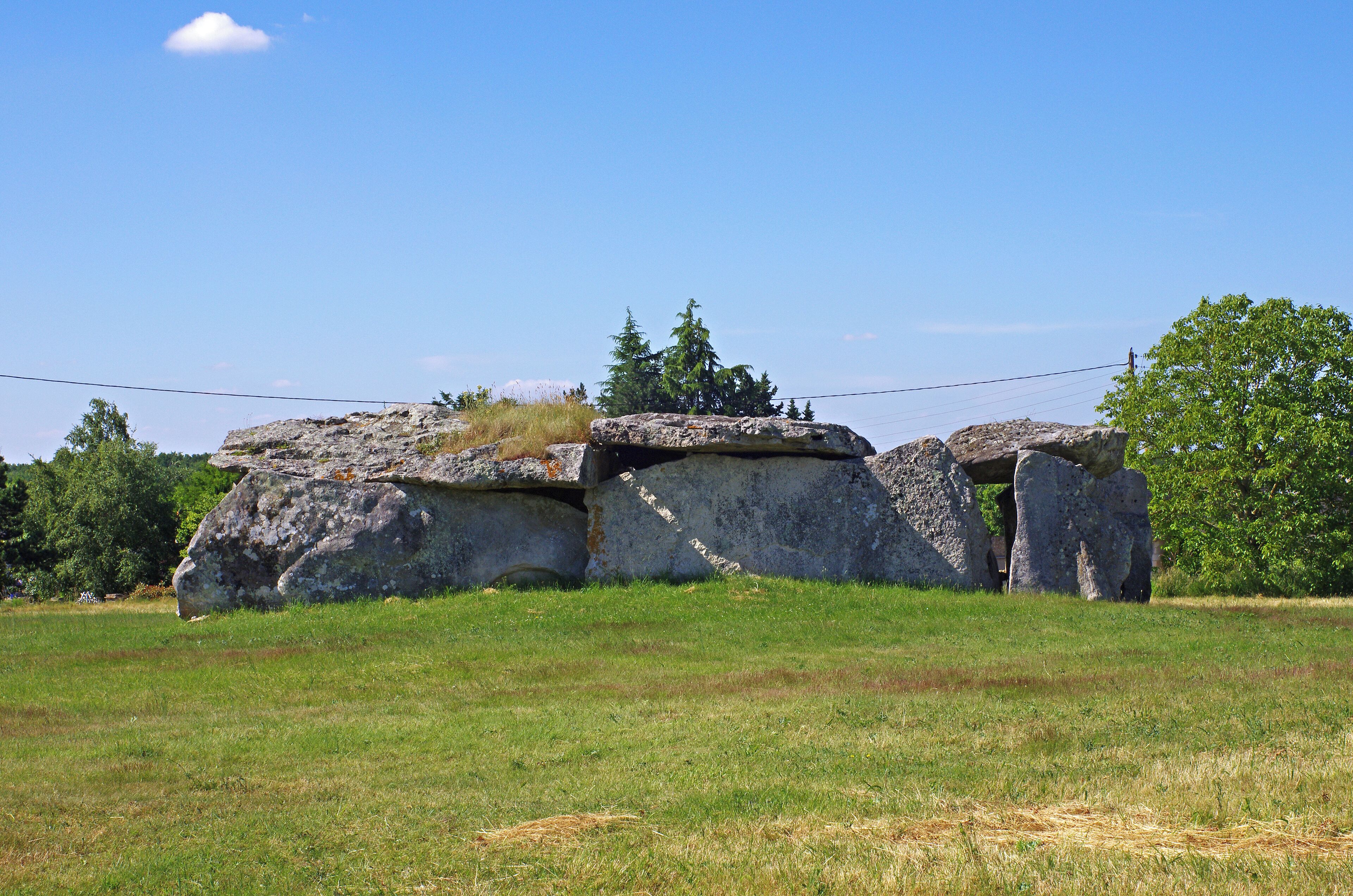 Dolmen de la Magdeleine ou de la Madeleine à Gennes (Maine-et-Loire). C'est un des plus beaux dolmen par sa taille. Dimensions : 14 m sur 5,70 m hauteur moyenne sous le dalle de 2,70 m surface 80 m² Le dolmen est constitué de plusieurs dalles en grès à sabals*. Probablement de type angevin malgré l'absence de portique d'entrée côté est. Il fut réutilisé comme remise à charrettes au 19ème siècle. Les vestiges d'un four à pain dans la chambre et d'un chambranle de porte témoignent de son utilisation par la ferme voisine. Des fouilles réalisées en 1940 on permis de retrouver de nombreux ossements ainsi que des silex taillés. Grès à sabals: Les grès à sabalites sont le témoin d'un climat tropical en Anjou. Les fossiles végétaux, feuilles de palmier sabalites de l’éocène (55- 33 millions d'années) figurent dans la formation dite des «grès à sabals». Dolmen de la Madeleine or Magdeleine Gennes (Maine-et-Loire). This is one of the largest dolmen. dimensions: 14 m by 5.70 m average height of 2.70 m the slab 80 sqm The dolmen consists of several slabs of sandstone sabal *. Probably type Angevin, despite the absence of entrance portico side. It was reused as garage carts in the 19th century. The remnants of a bread oven in the room and a door jamb demonstrate its use by the neighboring farm. Excavations in 1940 is possible to find numerous bones and carved flints. Sandstone sabal: The sandstone sabalites are witnessing a tropical climate in Anjou. The Plant fossils, leaves sabalites palm of the Eocene (55-33 million years) are included in the so-called "sandstone has sabal" training.