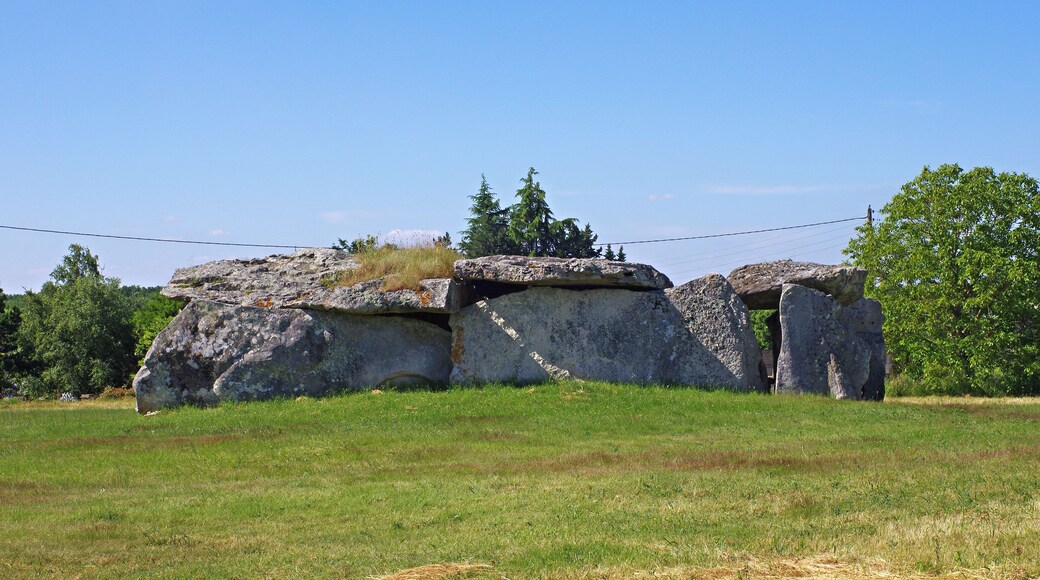 Dolmen de la Magdeleine ou de la Madeleine à Gennes (Maine-et-Loire). C'est un des plus beaux dolmen par sa taille. Dimensions : 14 m sur 5,70 m hauteur moyenne sous le dalle de 2,70 m surface 80 m² Le dolmen est constitué de plusieurs dalles en grès à sabals*. Probablement de type angevin malgré l'absence de portique d'entrée côté est. Il fut réutilisé comme remise à charrettes au 19ème siècle. Les vestiges d'un four à pain dans la chambre et d'un chambranle de porte témoignent de son utilisation par la ferme voisine. Des fouilles réalisées en 1940 on permis de retrouver de nombreux ossements ainsi que des silex taillés. Grès à sabals: Les grès à sabalites sont le témoin d'un climat tropical en Anjou. Les fossiles végétaux, feuilles de palmier sabalites de l’éocène (55- 33 millions d'années) figurent dans la formation dite des «grès à sabals». Dolmen de la Madeleine or Magdeleine Gennes (Maine-et-Loire). This is one of the largest dolmen. dimensions: 14 m by 5.70 m average height of 2.70 m the slab 80 sqm The dolmen consists of several slabs of sandstone sabal *. Probably type Angevin, despite the absence of entrance portico side. It was reused as garage carts in the 19th century. The remnants of a bread oven in the room and a door jamb demonstrate its use by the neighboring farm. Excavations in 1940 is possible to find numerous bones and carved flints. Sandstone sabal: The sandstone sabalites are witnessing a tropical climate in Anjou. The Plant fossils, leaves sabalites palm of the Eocene (55-33 million years) are included in the so-called "sandstone has sabal" training.