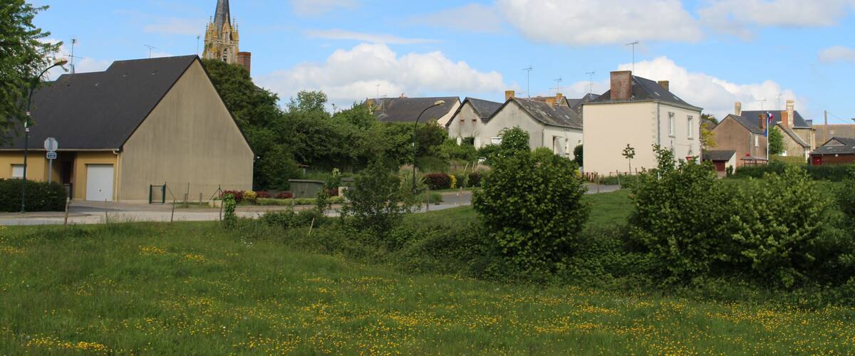 A rural village with a church spire, houses, and a field of yellow flowers.