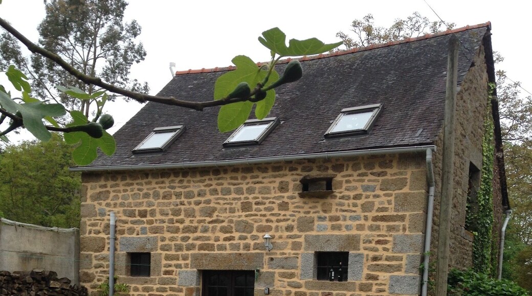 Chateau Louie St Marc Le Blanc #stunningstructures #France