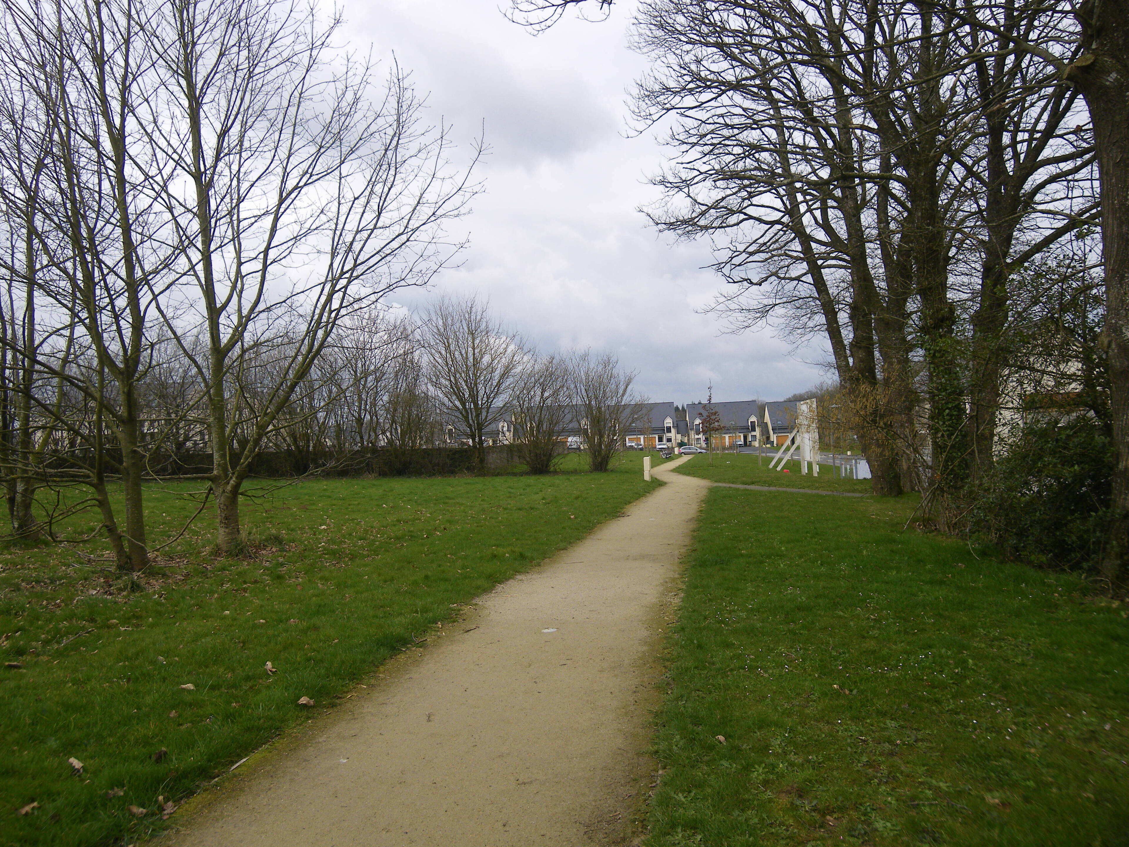 A narrow dirt path flanked by leafless trees, leading towards a row of houses.