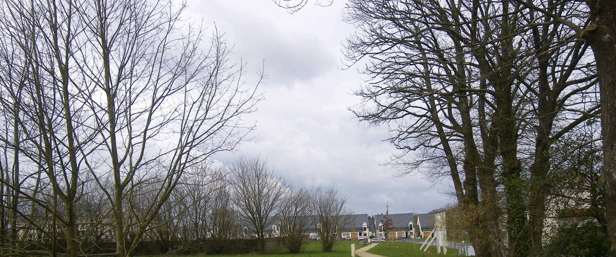 A narrow dirt path flanked by leafless trees, leading towards a row of houses.