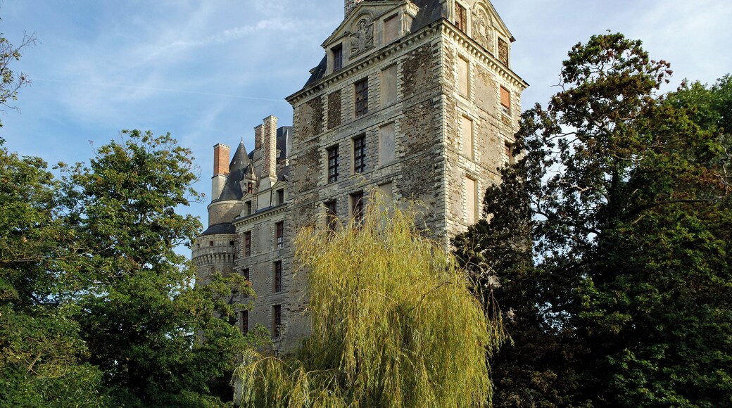 Brissac-Quincé (Maine-et-Loire) Le château de Brissac. Le château appartient à la famille des Cossé-Brissac depuis 1502. Ce château est remarquable par sa hauteur. C'est dans ce château que le 13 août 1620, eut lieu la réconciliation de Louis XIII avec sa mère, Marie de Médicis, veuve d'Henri IV. Après la mort d'Henri IV, Louis XIII est couronné roi de France à Reims le 17 octobre 1610. Louis XIII n'a que 9 ans. Le pouvoir est alors assuré par sa mère Marie de Médicis, qui gouverne le royaume comme régente au nom de son fils. Marie de Médicis et son fils Louis XIII s'entendent mal. Marie de Médicis laisse gouverner ses favoris, Concino Concini et Léonora Galigaï. Louis XIII s'indigne de voir Concini, un étranger incapable selon lui, usurper le gouvernement de son État, tandis qu'on le relègue dans un coin du Louvre. Afin d'accéder au pouvoir, Louis XIII fait assassiner Concino Concini à coups de pistolet par le baron de Vitry, capitaine des gardes, le 24 avril 1617. Louis XIII exile sa mère Maris de Médicis à Blois. Le 22 février 1619, Marie de Médicis s'échappe du château de Blois et lève une armée contre son fils déclenchant la "première guerre de la mère et du fils". Le Traité d'Angoulême du 30 avril, négocié par Richelieu, signé le 30 juillet 1619, réconcilie officiellement le fils et la mère. Une faction de grands seigneurs se forme alors autour de Marie de Médicis. Le 4 juillet 1620, Louis XIII prend alors le parti de la guerre, c'est la "deuxième guerre de la mère et du fils". Les troupes du roi écrasent l'armée de Marie de Médicis à la bataille des Ponts-de-Cé. La réconciliation se fera à Brissac. The castle belongs to the family of Cosse-Brissac since 1502. This castle is remarkable for its height. It is in this castle August 13, 1620, took place the reconciliation of Louis XIII and his mother, Marie de Medici, widow of Henri IV. After the death of Henri IV, Louis XIII is crowned King of France in Reims October 17, 1610. Louis XIII was only nine years old. The power is then provided by his mother Marie de Medici, who ruled the kingdom as regent on behalf of his son. Marie de Medici and her son Louis XIII hear well. Marie de Medici rule leaves his favorite Concini and Leonora Galigai Concino. Louis XIII unworthy of Concini see a stranger incapable according to him, usurping the government of his state, and that relegates in a corner of the Louvre. To gain power, Louis XIII Concino Concini assassinated with a pistol by the Baron de Vitry, captain of the guards, April 24, 1617. Louis XIII exile his mother Maris de Medicis to Blois. February 22, 1619, Marie de Médicis escaped the castle of Blois and raised an army against his son triggering the "first war of the mother and son." The Treaty of Angoulême April 30, brokered by Richelieu, signed July 30, 1619, officially reconciled son and mother. A faction of nobles then forms around Marie de Medici. On 4 July 1620, Louis XIII takes advantage of the war, it is the "War of the mother and son." The king's troops crushed the army of Marie de Medici at the Battle of Ponts-de-Ce. Reconciliation will Brissac.
