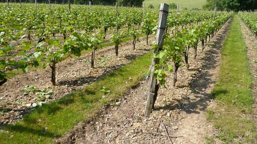 Brissac Loire Aubance