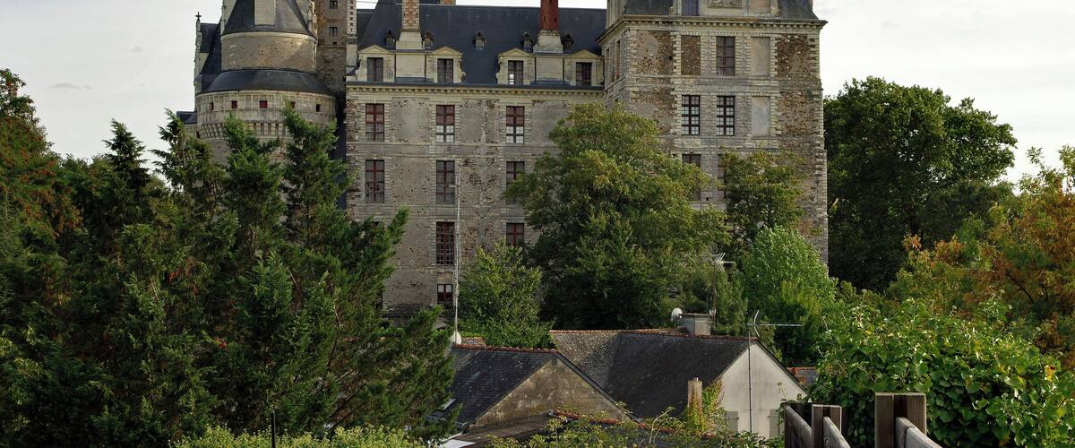 A historic castle surrounded by dense trees.