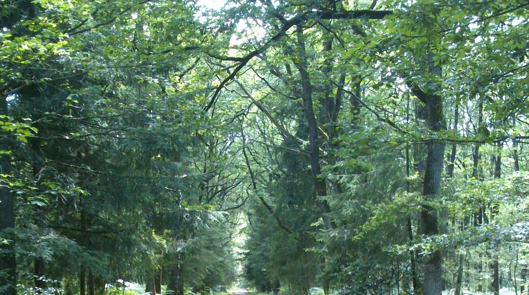 Mazières-en-Mauges, France