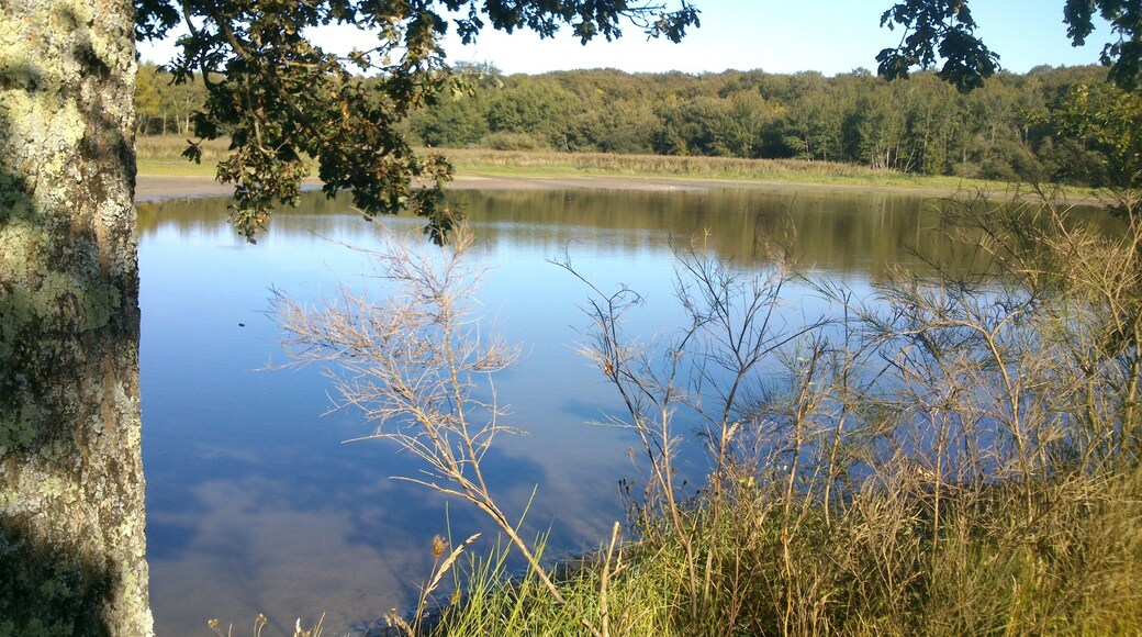 Etang de Péronne