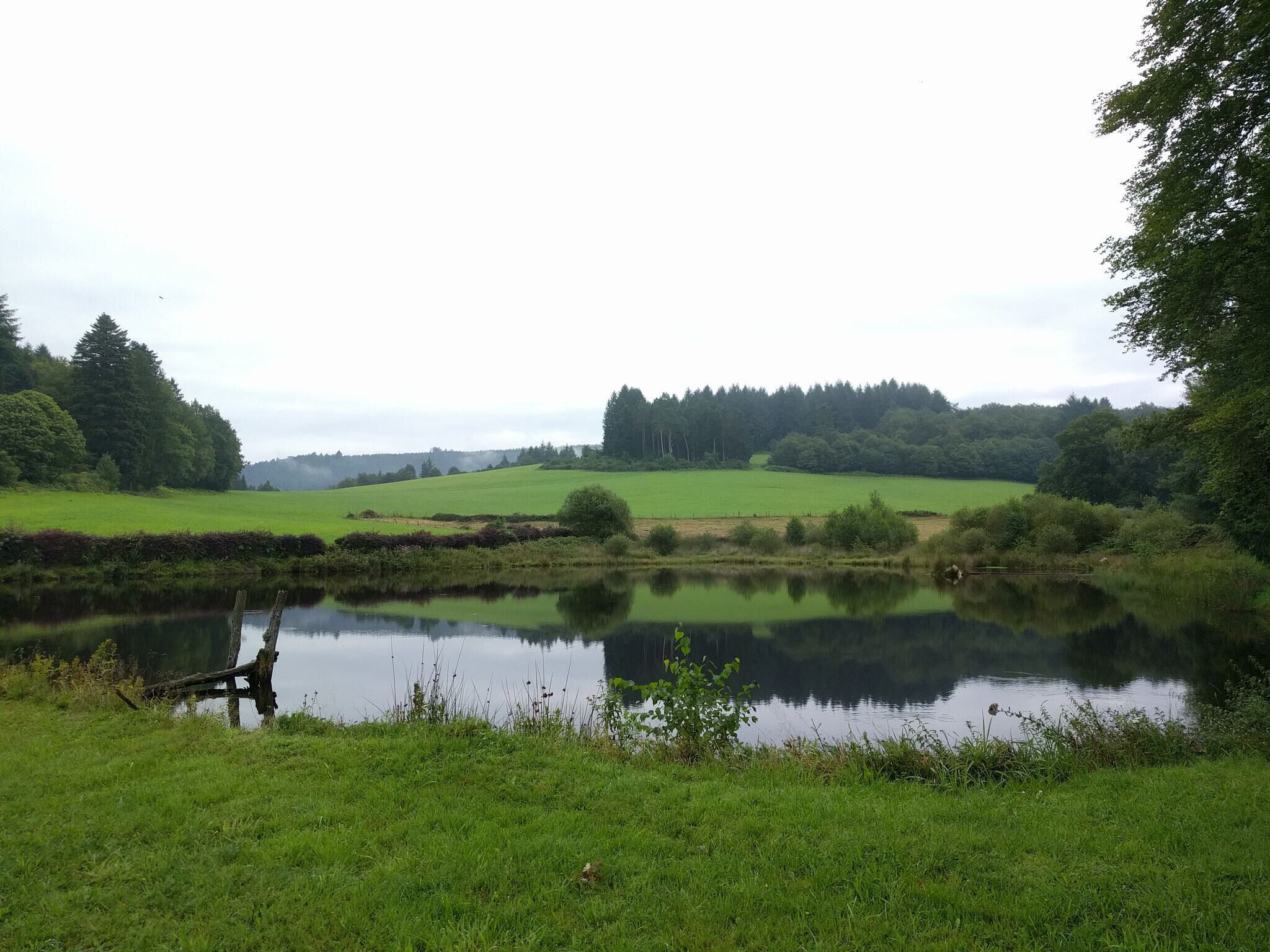A calm lake surrounded by lush green fields and dense forests.