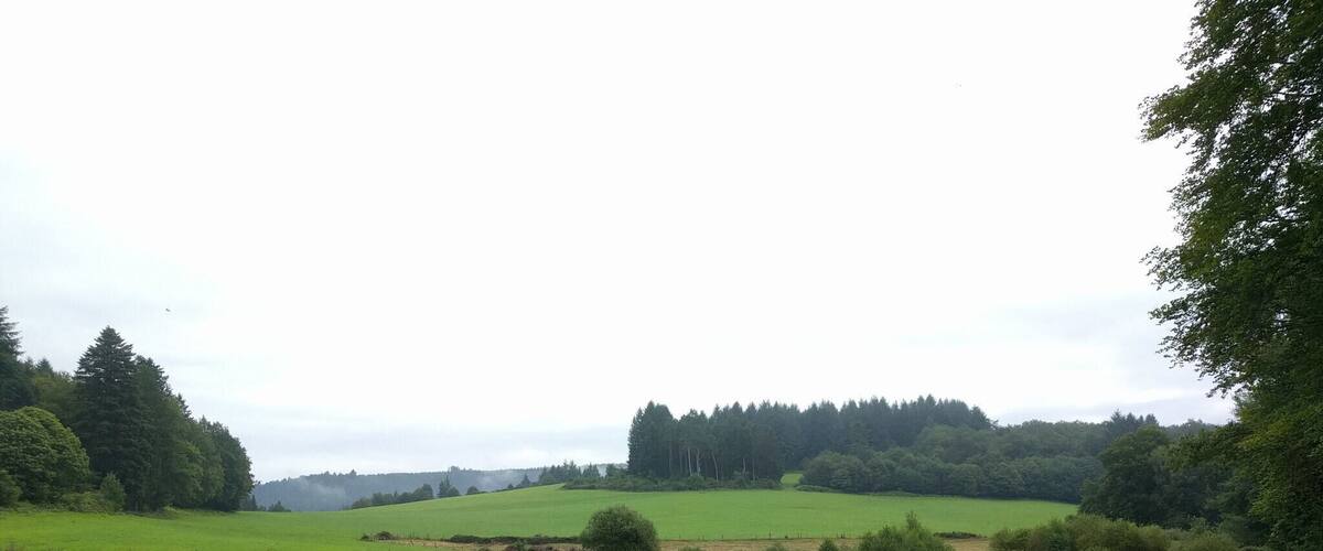 A calm lake surrounded by lush green fields and dense forests.