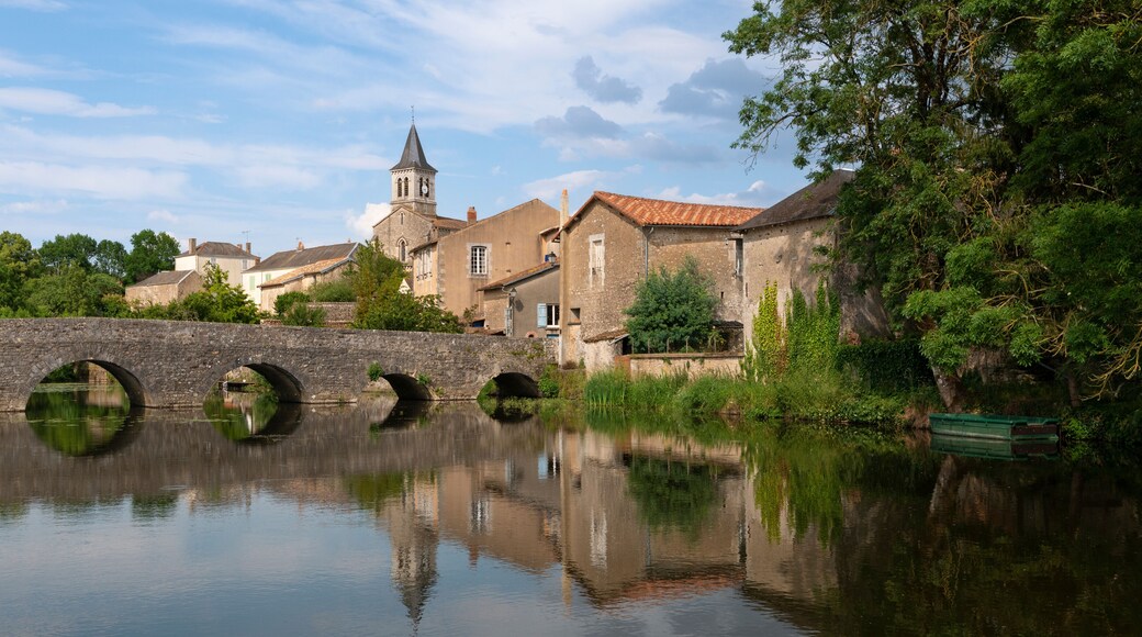 Saint-Martin-la-Pallu