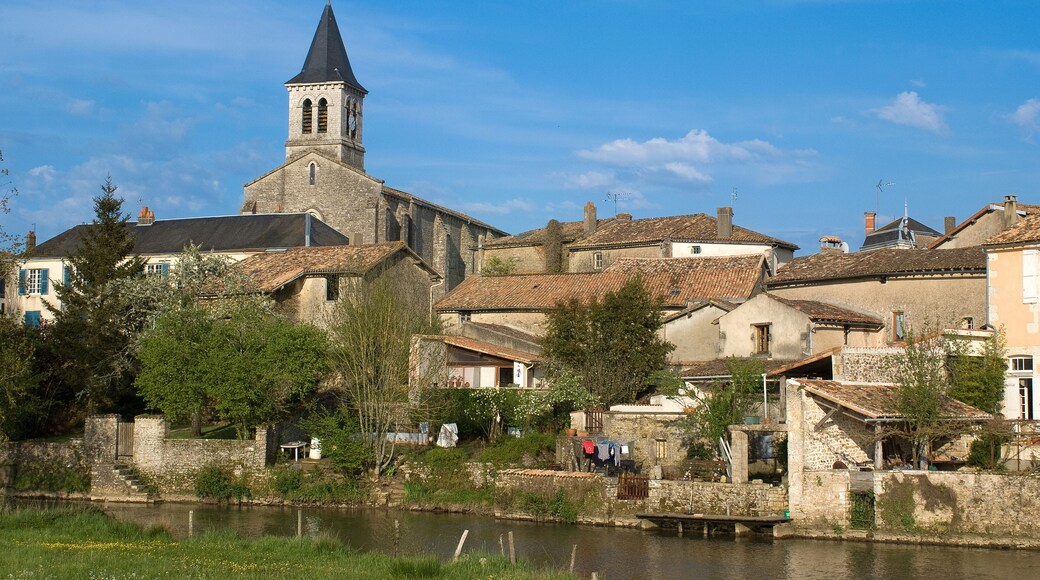 Saint-Martin-la-Pallu