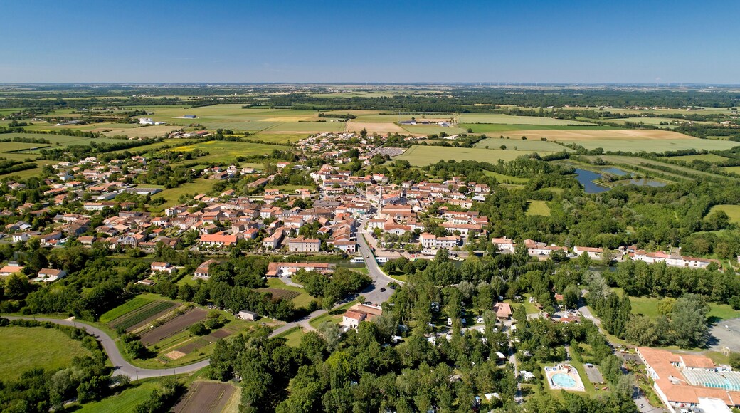Aerial photography of Damvix in the Poitevin marsh, Vendee, France