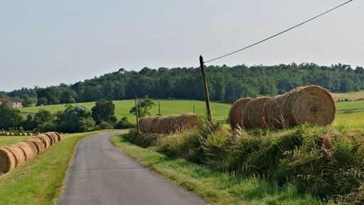 Road D 89 with straw bales. Curac, Charente, France.