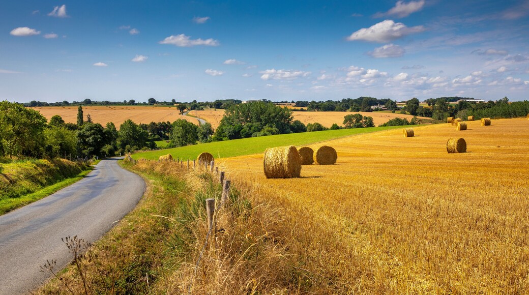 Paysage bocager et chemin de campagne en France au printemps.