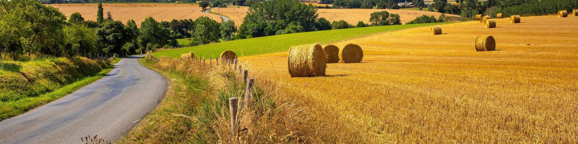 Paysage bocager et chemin de campagne en France au printemps.