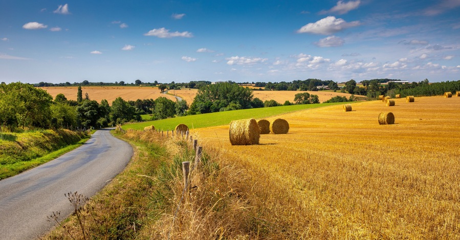 Paysage bocager et chemin de campagne en France au printemps.