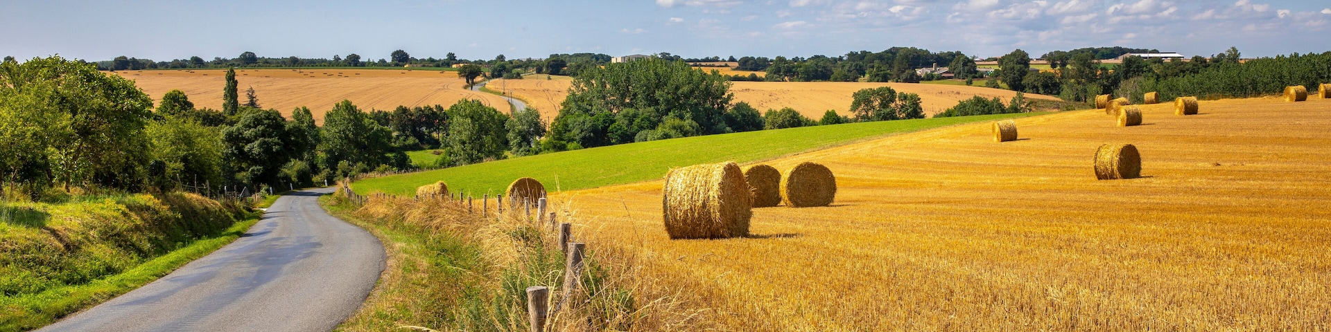 Paysage bocager et chemin de campagne en France au printemps.