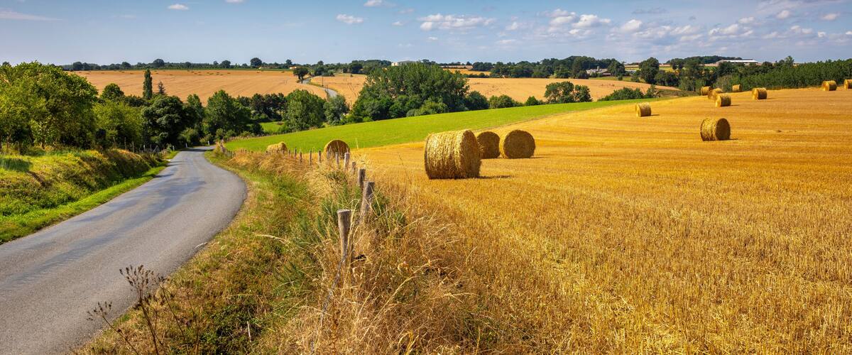 A rural landscape with a winding road, hay bales, and a clear blue sky.