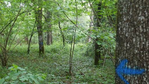 Parcours fléché pour accéder au site.