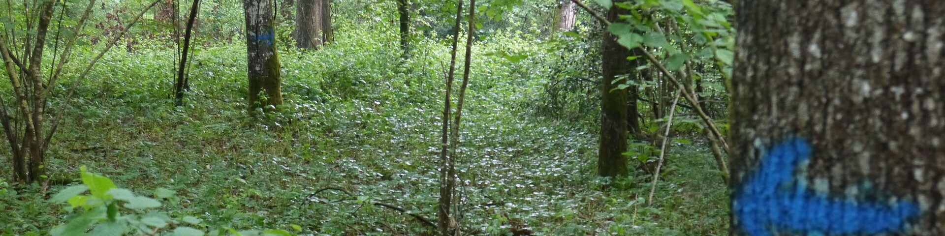 Parcours fléché pour accéder au site.