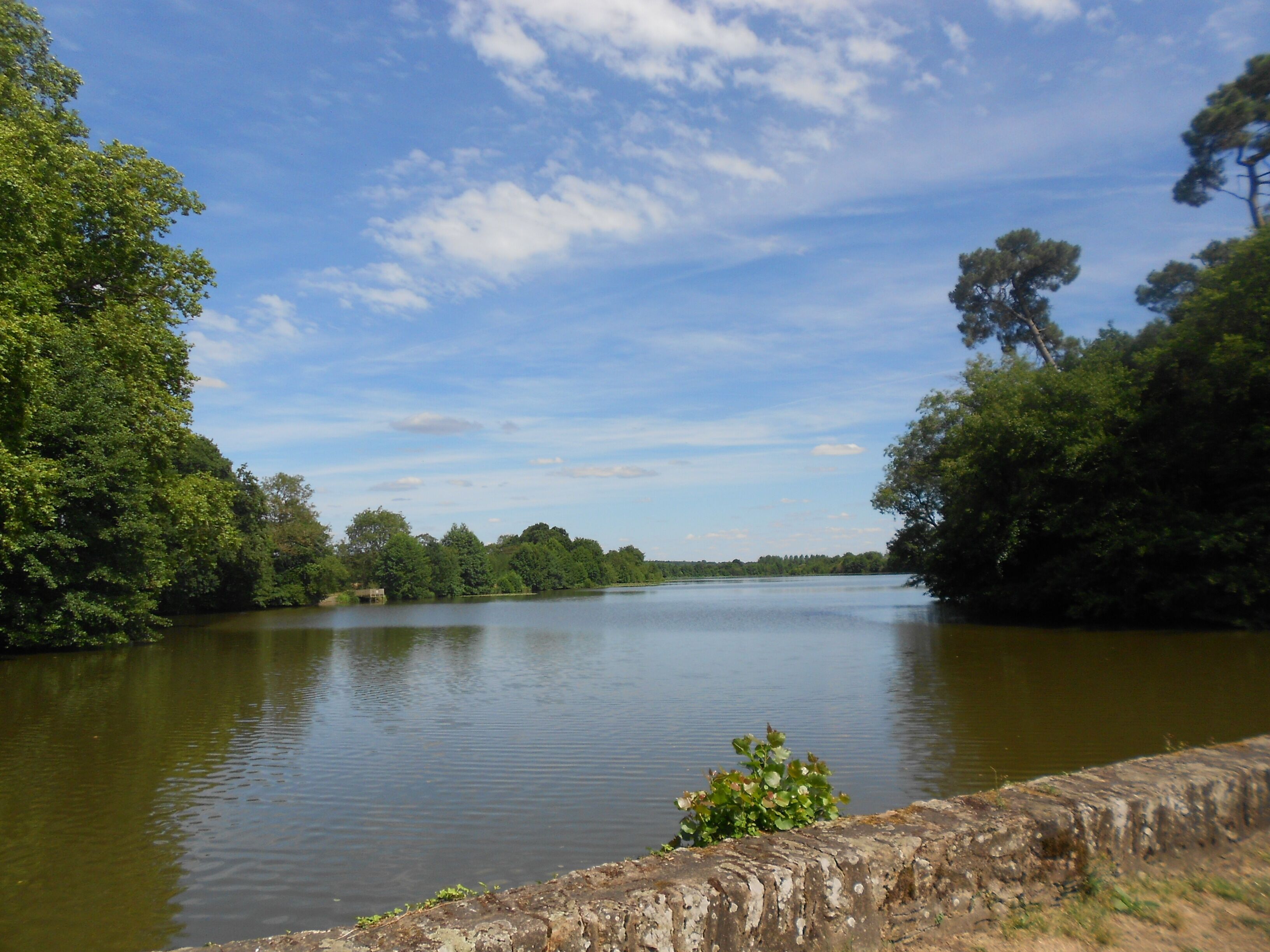 Étang de la Hunaudière, lieu de pêche et de détente.