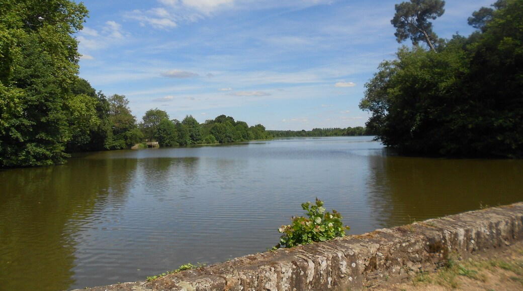 Étang de la Hunaudière, lieu de pêche et de détente.