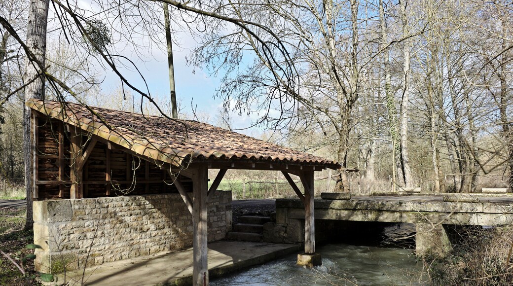 Lavoir de Turzay sur la rivière "La Béronne", Turzay, Mazières-sur-Béronne, Deux-Sèvres, Poitou-Charentes, France