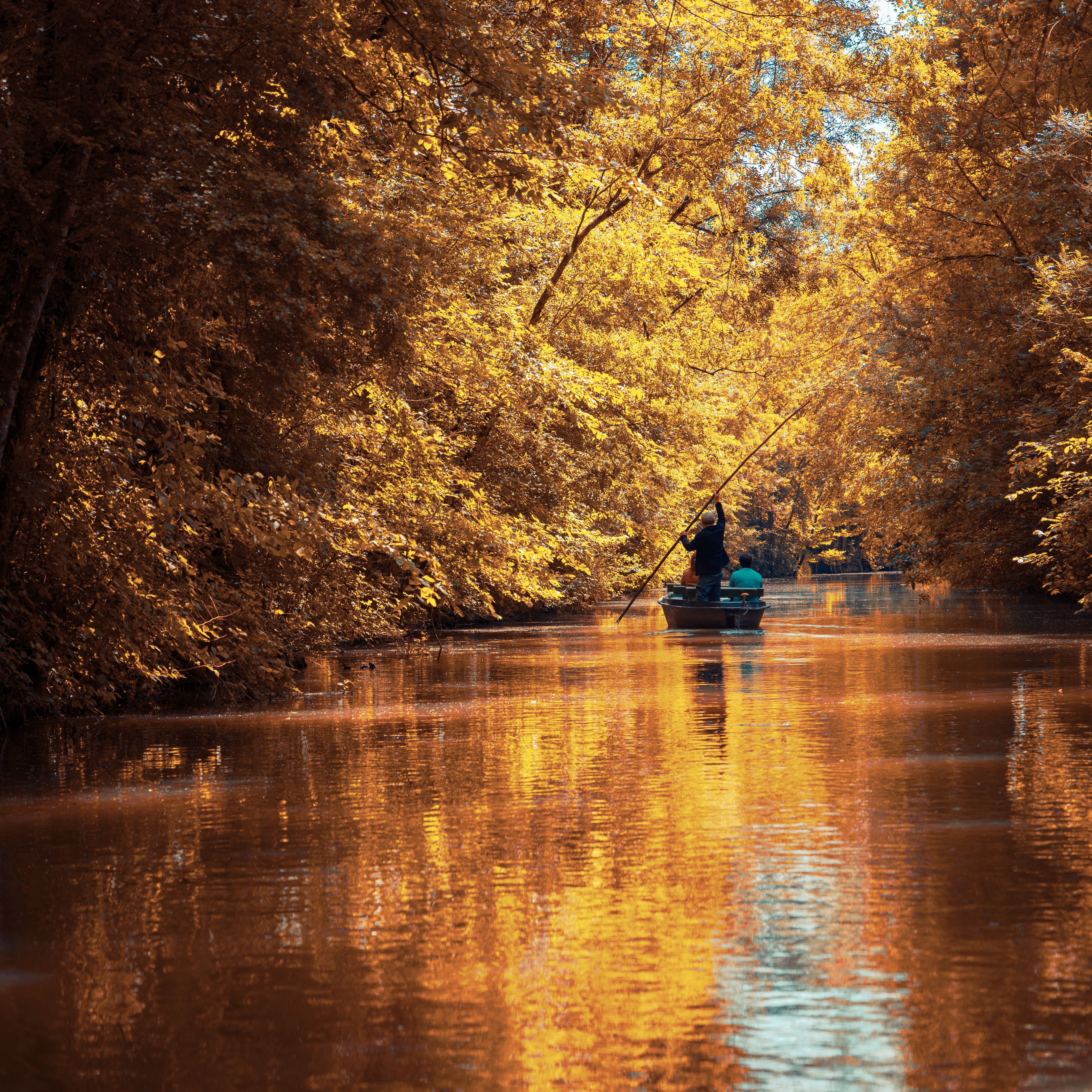 Marais Poitevin, Venise verte, Vendée, Deux-Sèvres, Charente-Maritime, Nouvelle-Aquitaine, France