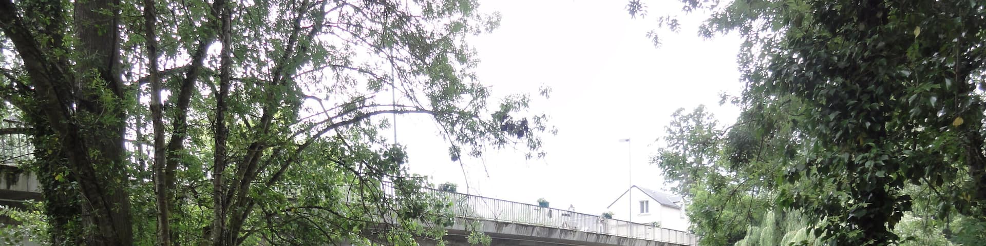 Naintré (Vienne) pont sur le Clain