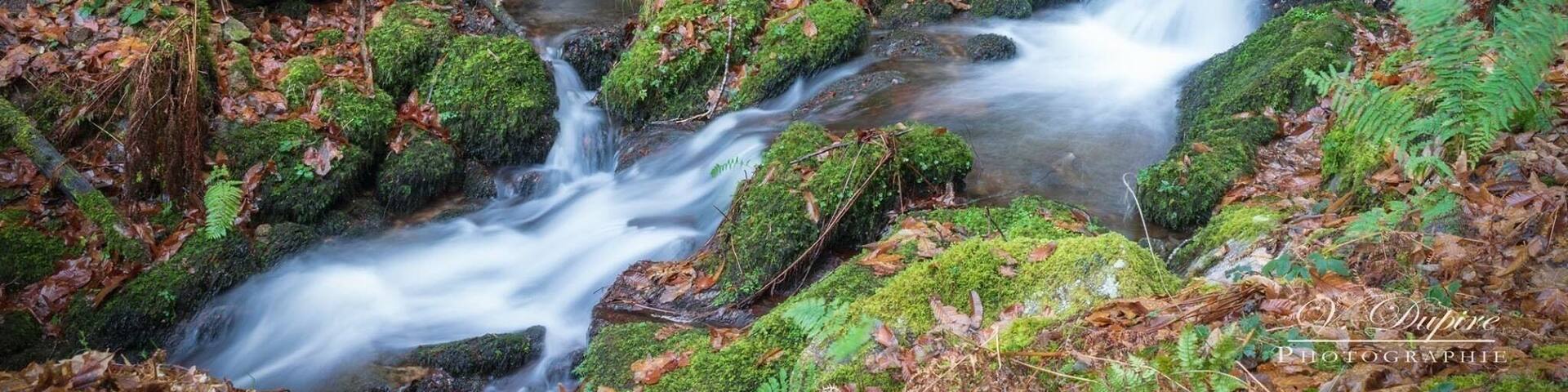 Au détour d’une route