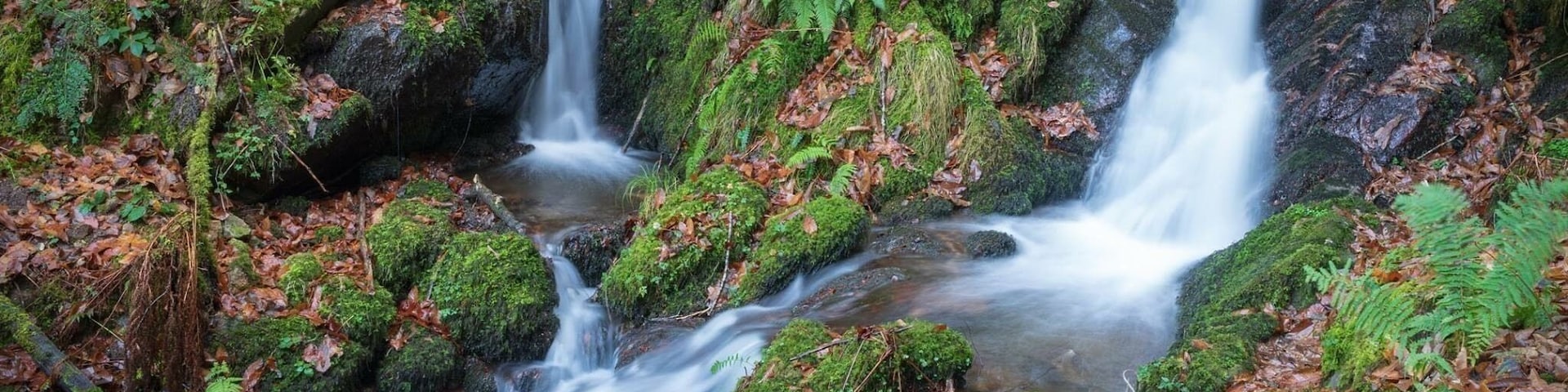 Au détour d’une route