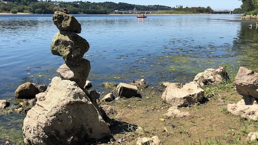 فيلبيرنييه