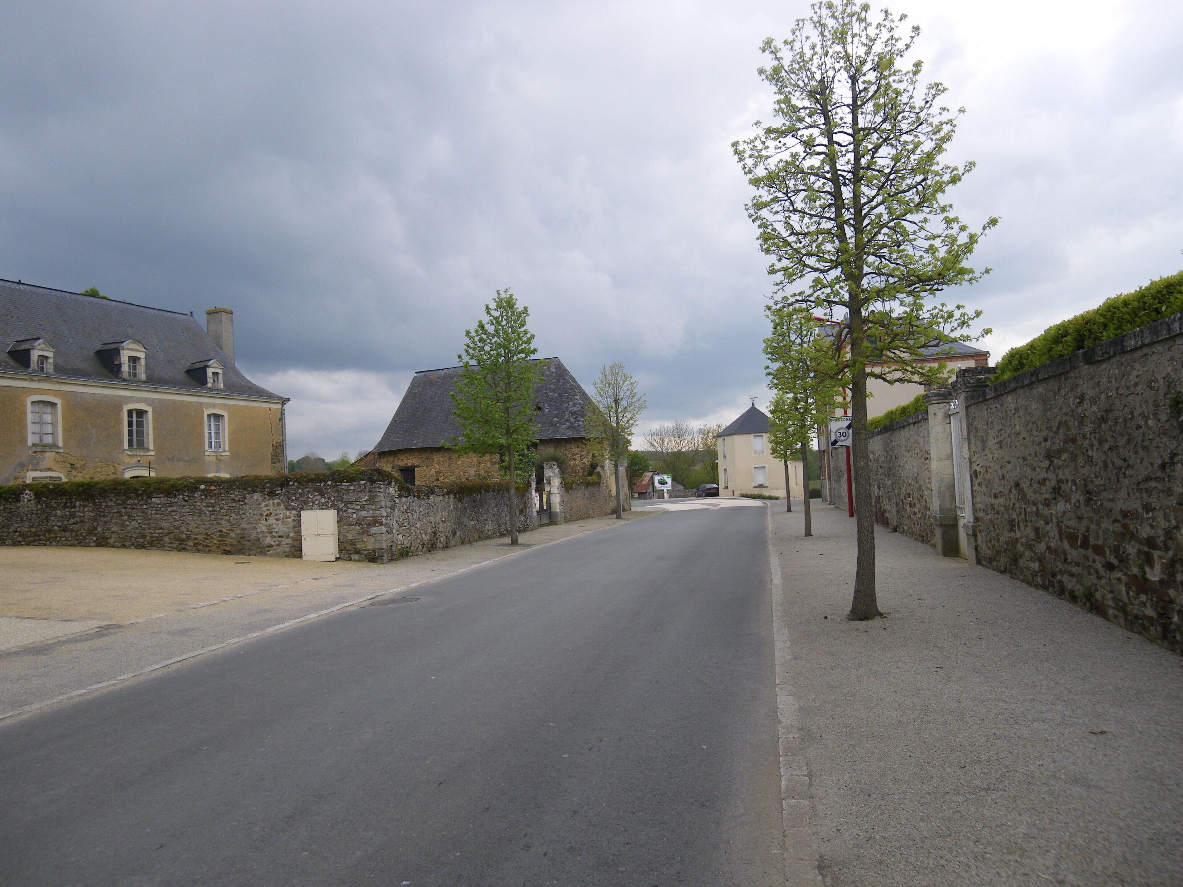 A quiet street with stone walls, a large tree, and historic buildings.