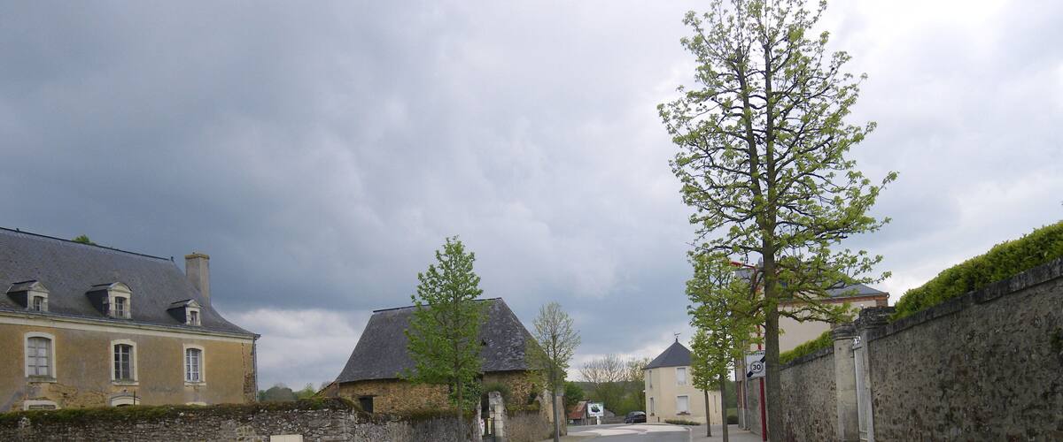 A quiet street with stone walls, a large tree, and historic buildings.