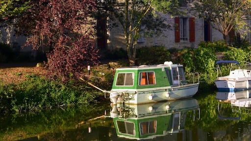 Panoramique deux bateaux sur la Sèvre Nortaise au soleil couchant à Damvix (85420), département de Vendée en région Pays de la Loire, France