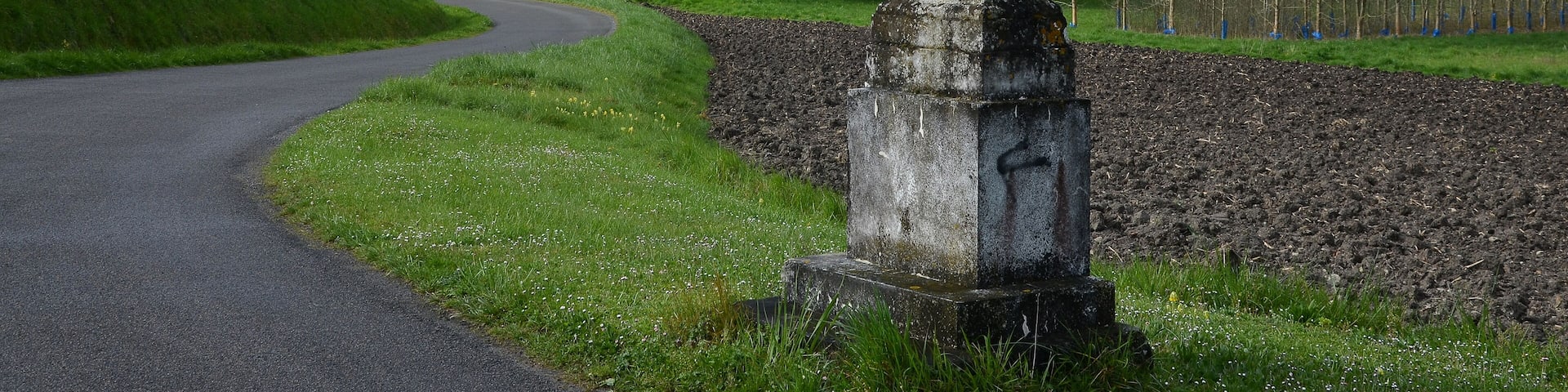 Wayside stone cross along road n° D 129, Péreuil, Charente, France