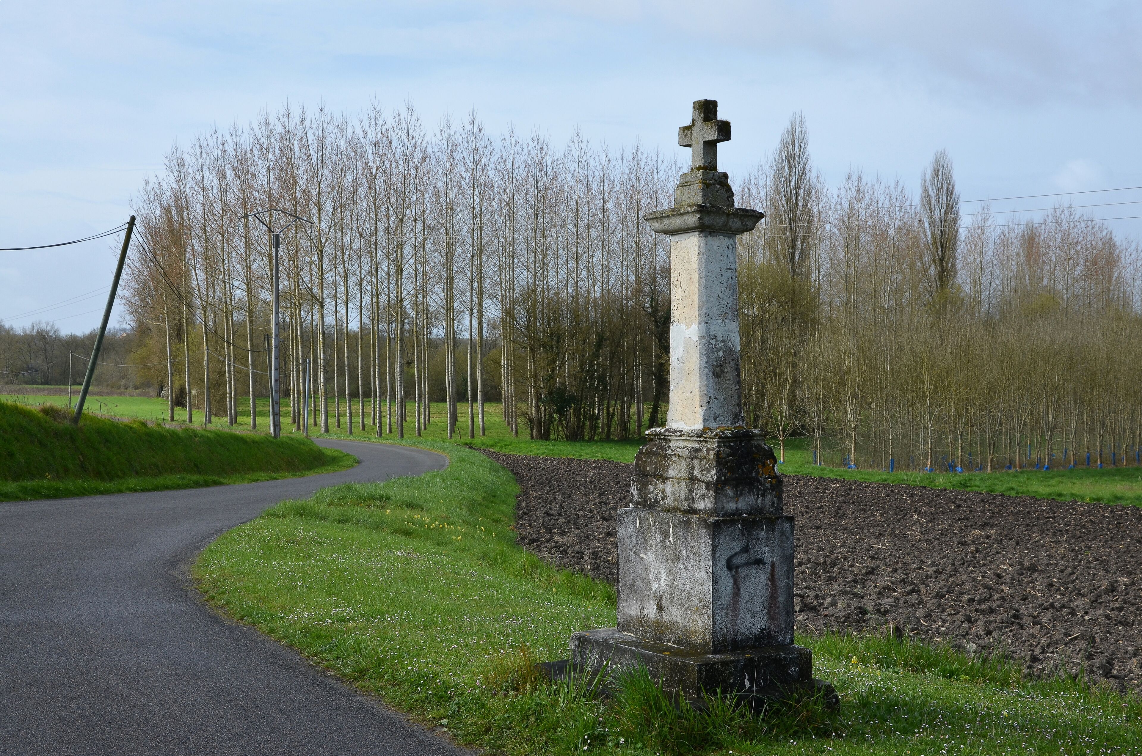 A rural road with a stone monument and a field of young trees.