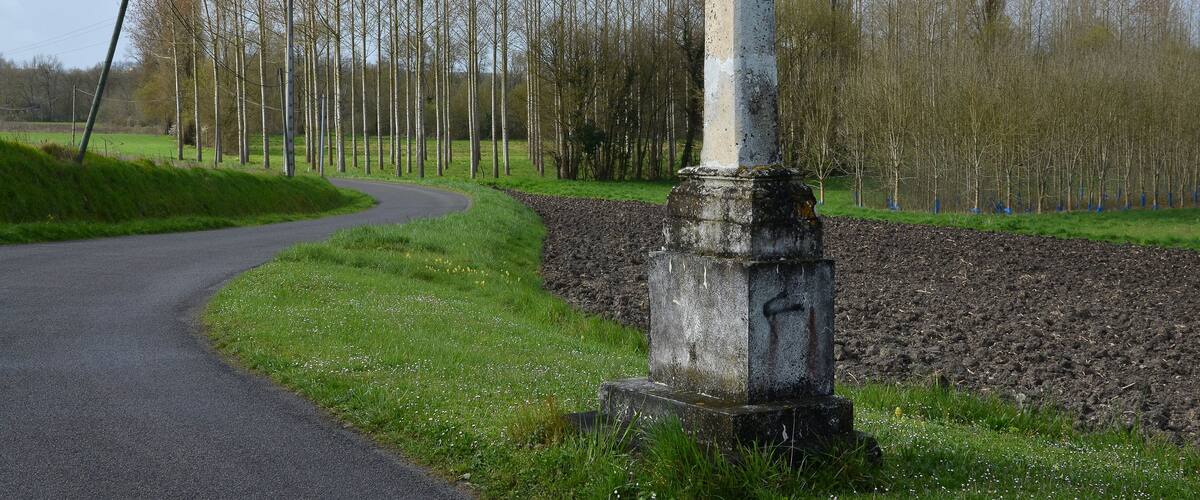 A rural road with a stone monument and a field of young trees.