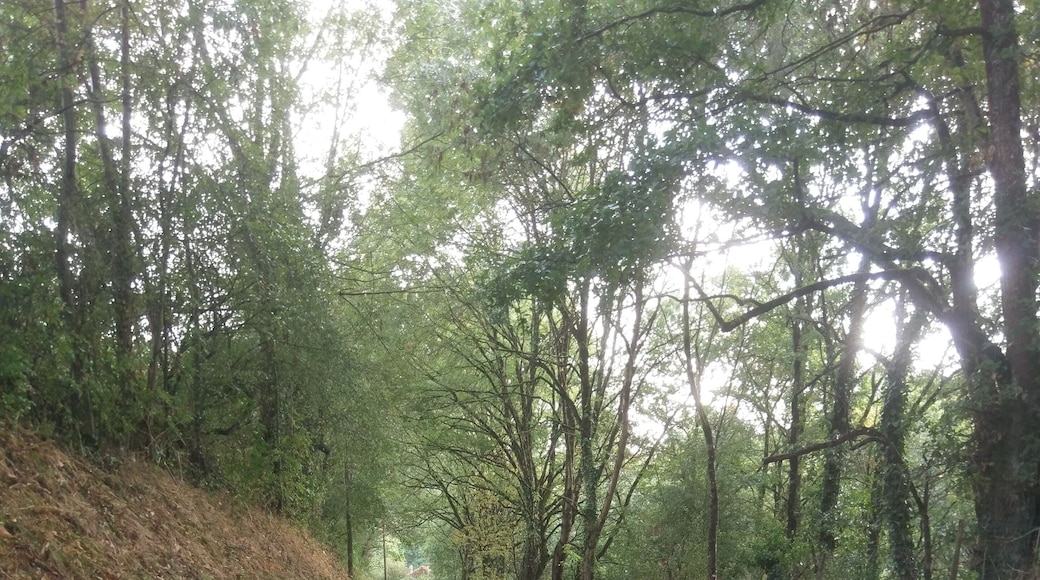 As autumn arrives, the countryside becomes more appealing #TroveOnTuesday