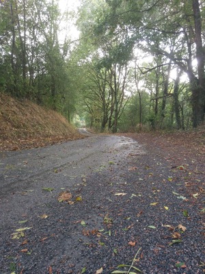 As autumn arrives, the countryside becomes more appealing #TroveOnTuesday