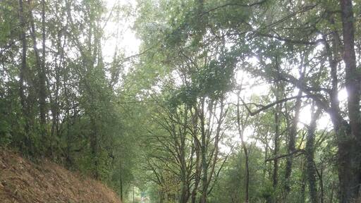 As autumn arrives, the countryside becomes more appealing #TroveOnTuesday