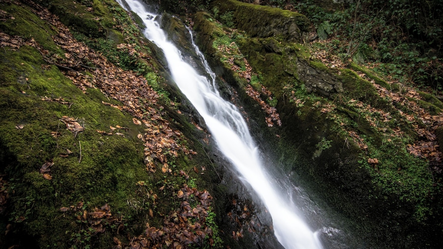 Een waterval die over met mos begroeide rotsen stroomt in een bebost gebied.