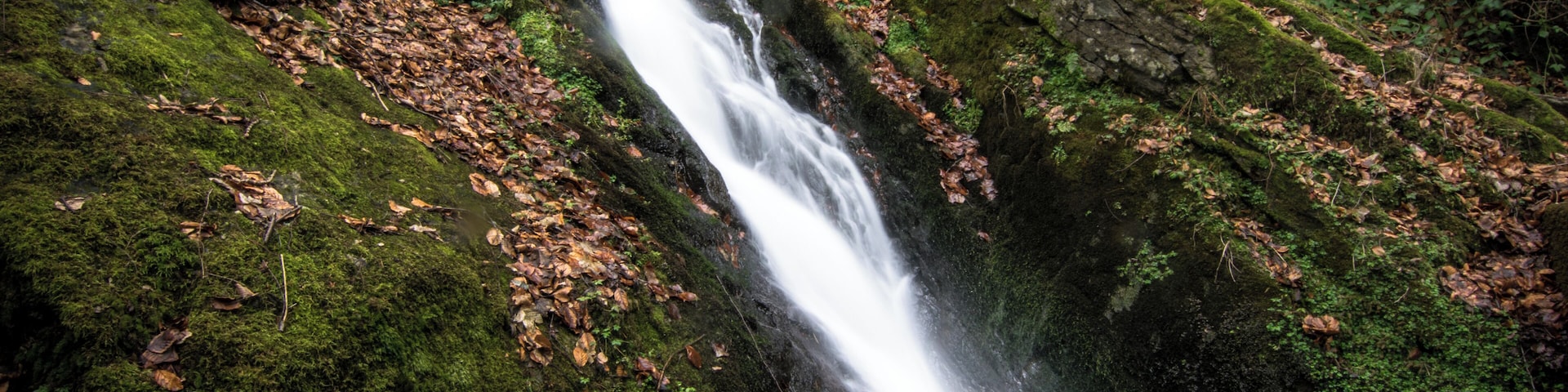 Water exit of the barrage du Gouffre d'Enfer dam, Saint-Ătienne, France.