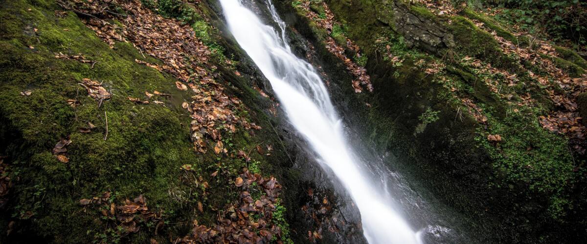 A waterfall cascading over moss-covered rocks in a forested area.