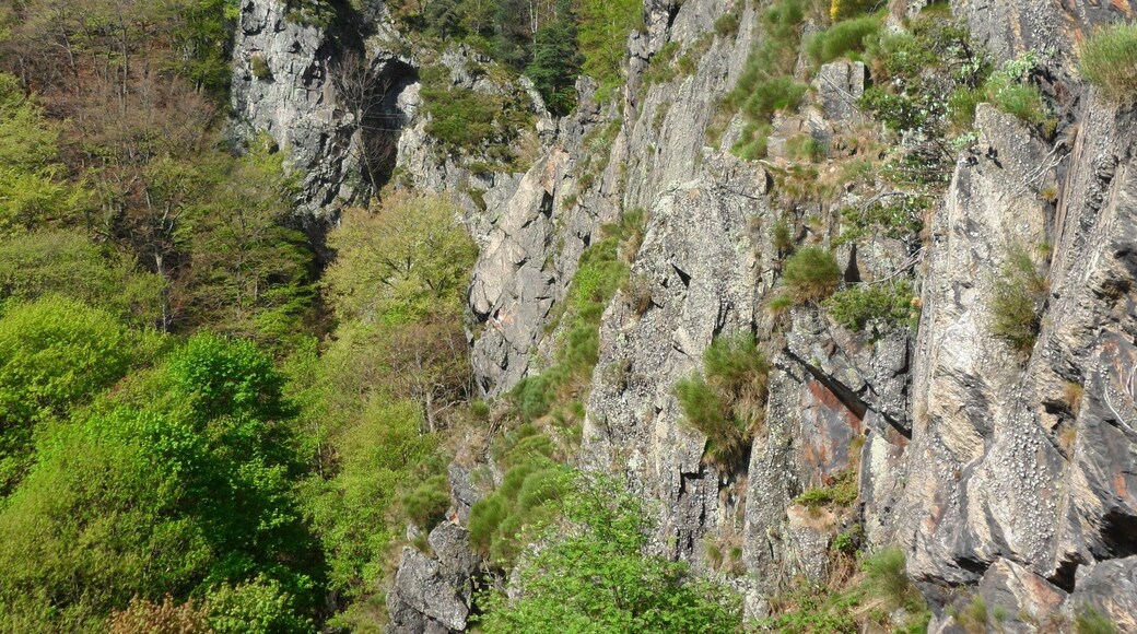 Via ferrat’adultes de Planfoy