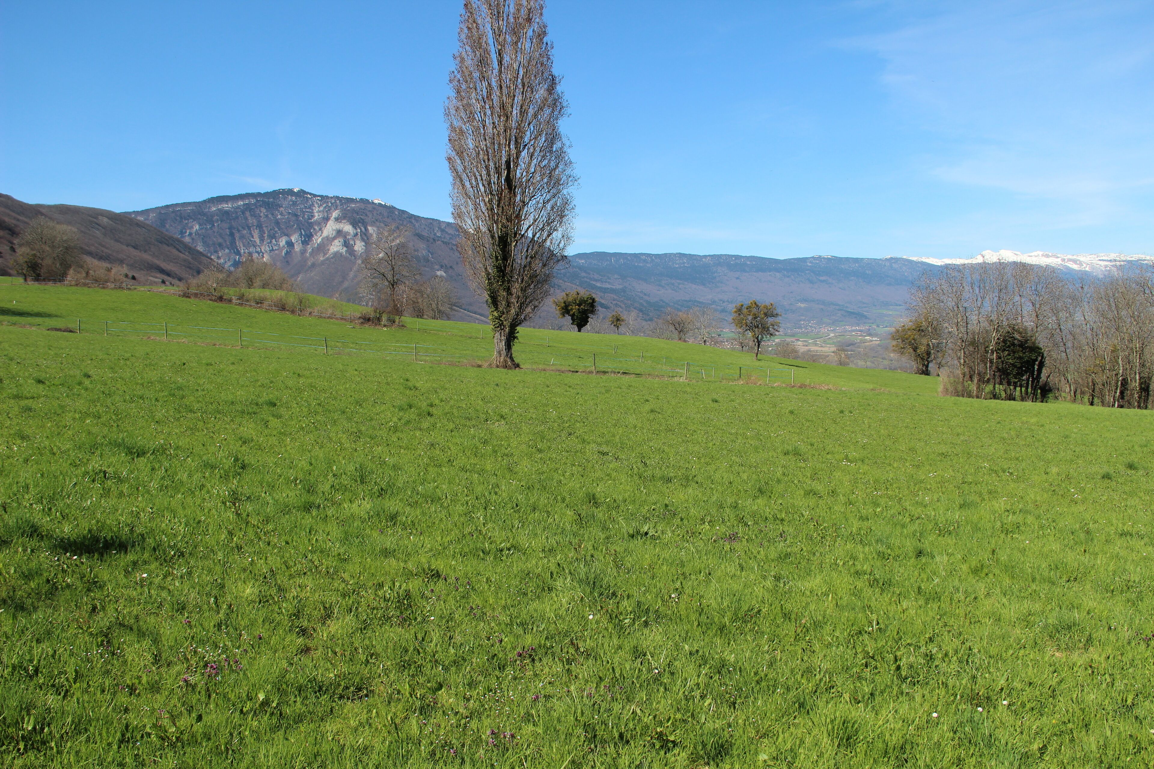 Panoramic view on the Bassin Lemanique