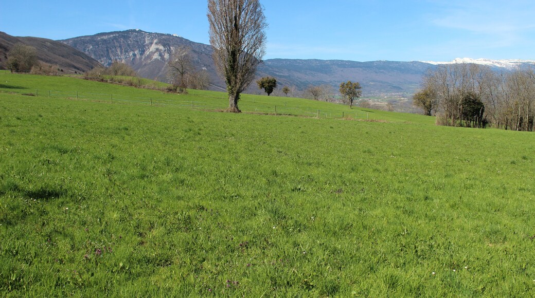Panoramic view on the Bassin Lemanique